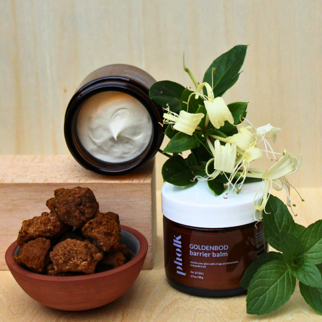 GoldenBod Barrier Balm with Chaga Phyto-melanin