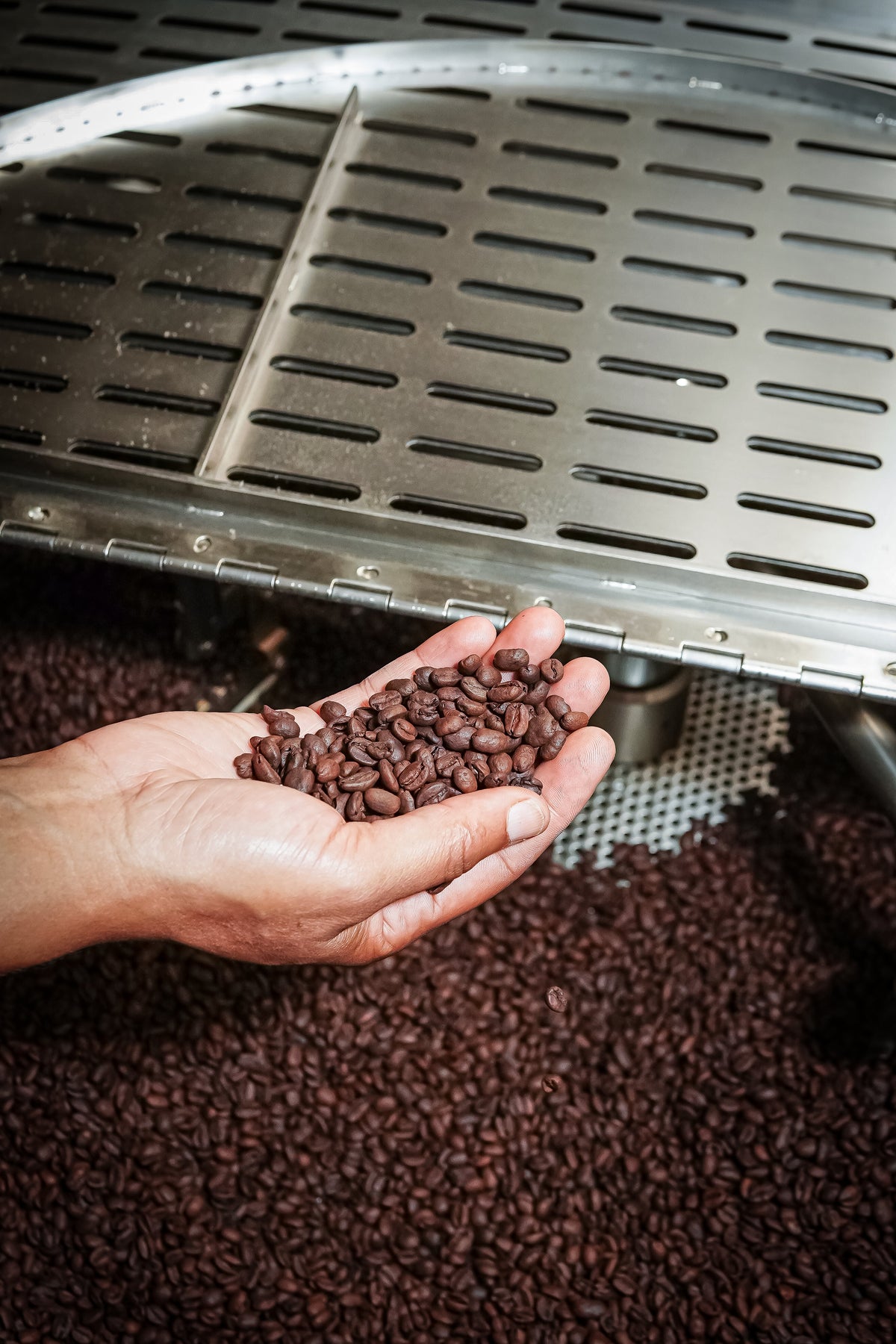 Grow To Market 12oz Decaf Coffee
