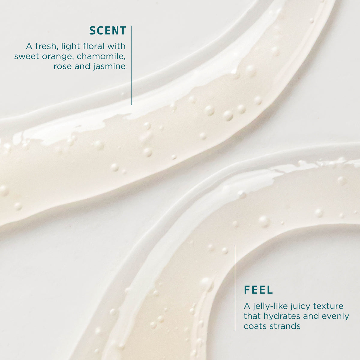 Dream Curl Gelée