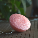 Konjac Sponge