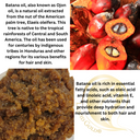 Raw Batana Oil for Hair Growth Bulk Wholesale