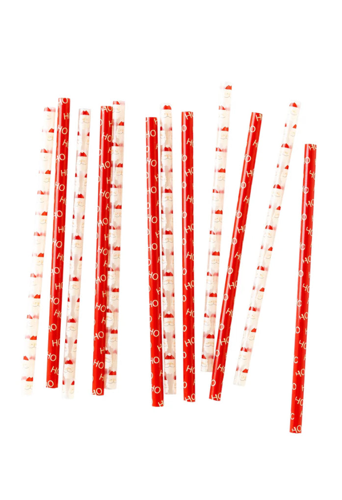 BELIEVE SANTA REUSABLE STRAW SET