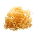 Dried Sea Moss Gold from St. Lucia (2oz)