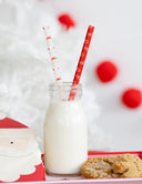 BELIEVE SANTA REUSABLE STRAW SET