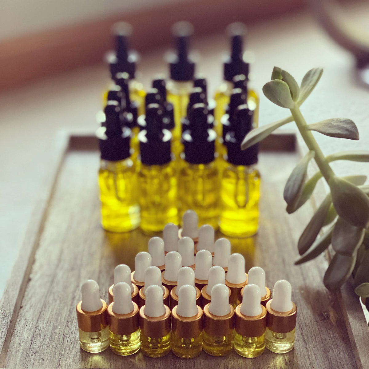 Glowing Facial Oil