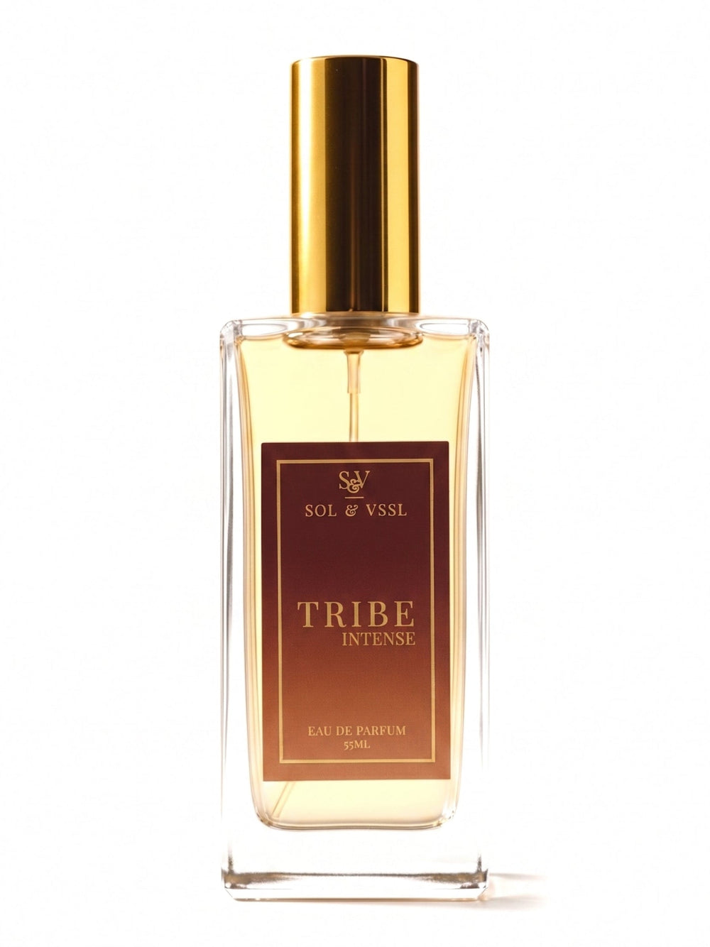 TRIBE INTENSE