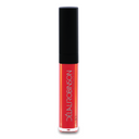 “Hot & Spicy” Matte Liquid lipstick