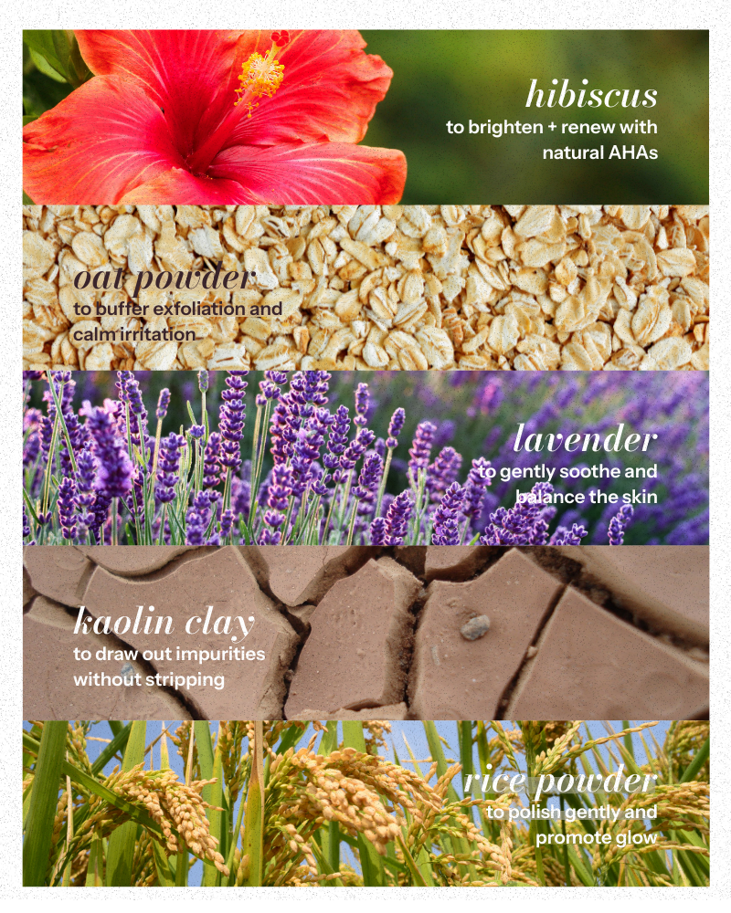 Hibiscus Powder - Gentle Exfoliating Cleanser