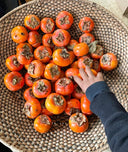 Persimmon + Oat Milk Soap