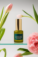 Clove Skincare Collection – Full Set