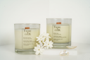 Spring Summer Candle Bundle