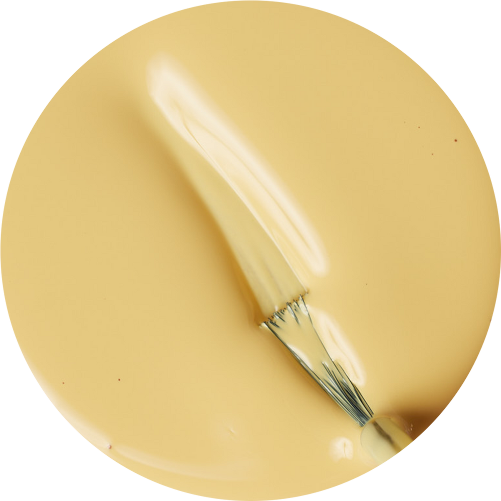 Trip Around The Sun - Classic Lacquer
