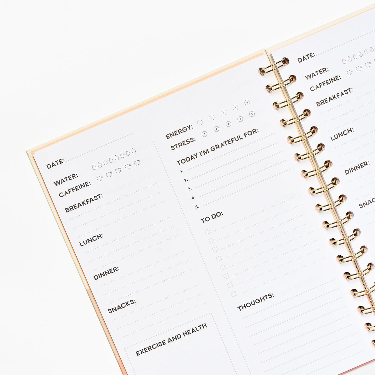 Dedicated mindfulness wellness planner