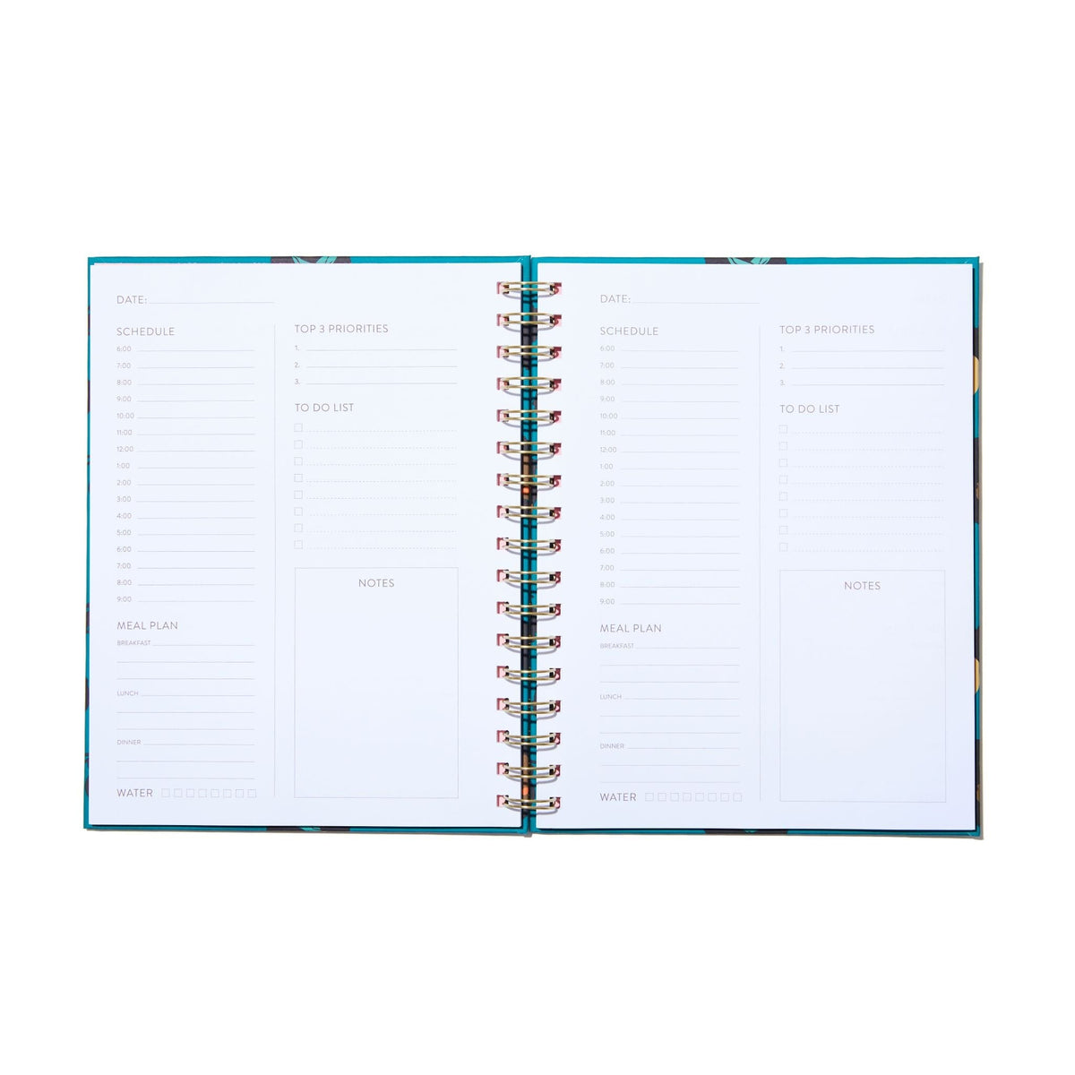 Pop of Color Undated Planner