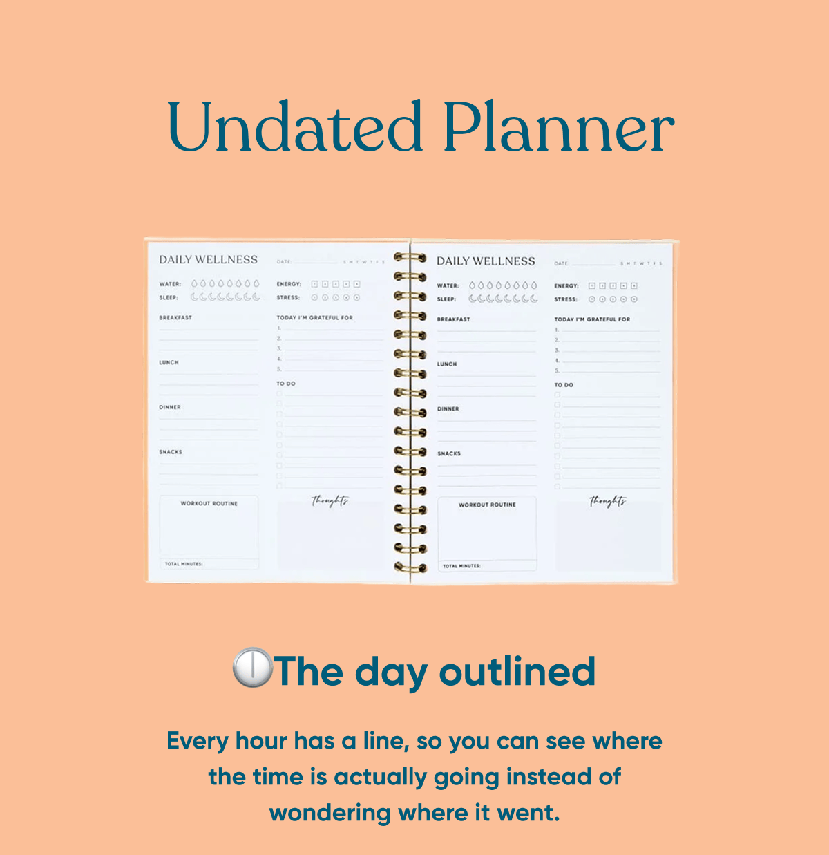 Take Up Space Undated Planner
