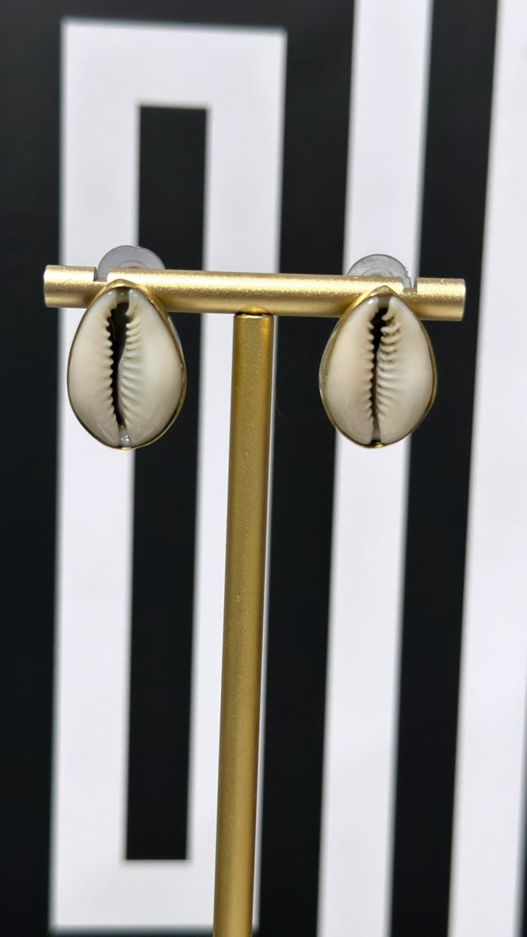 Cowry baako shell Stud Earring