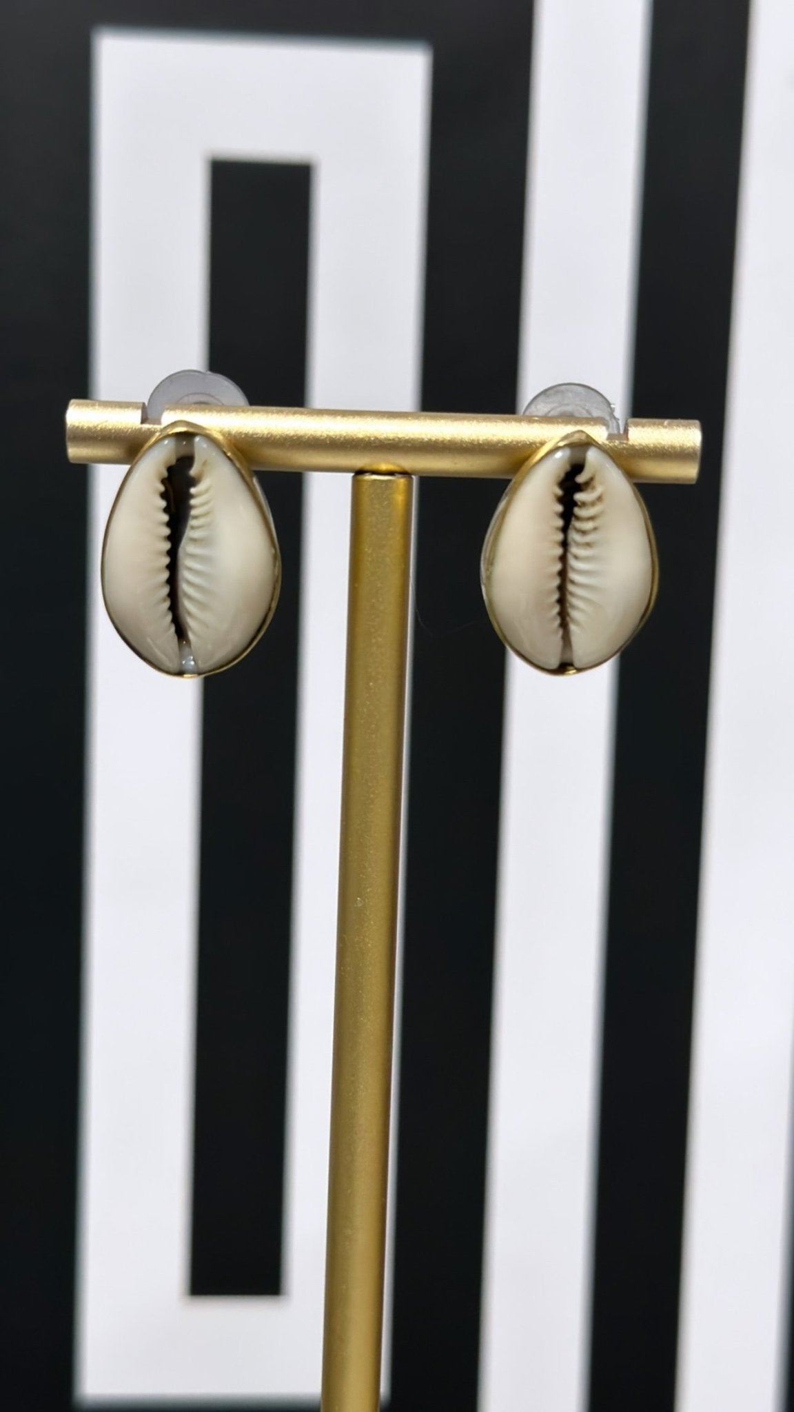 Cowry baako shell Stud Earring