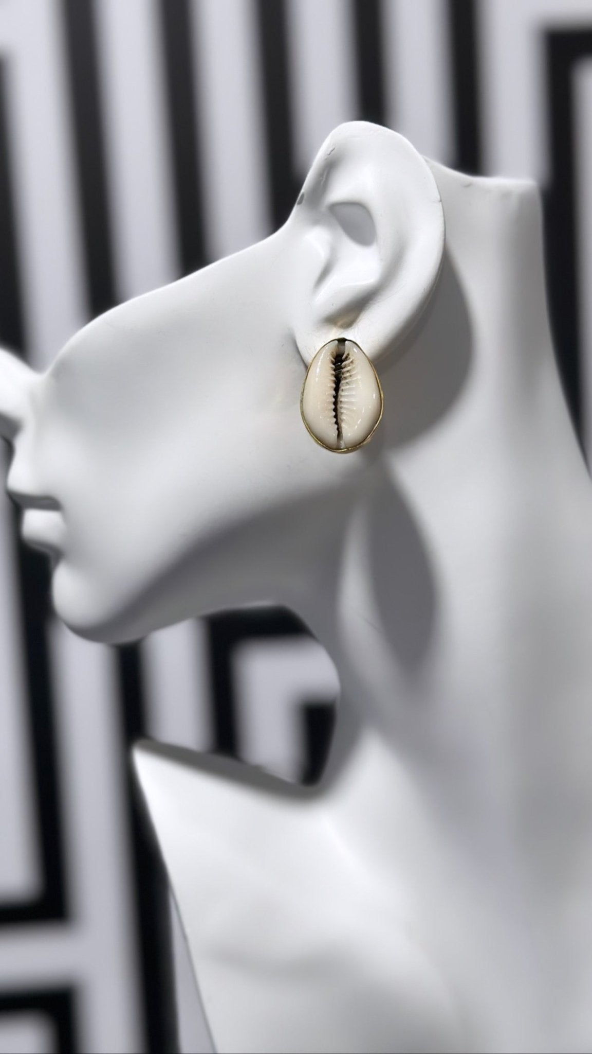 Cowry baako shell Stud Earring