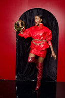 Extra long Fringe symphony Earring