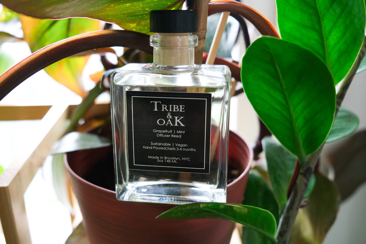 Grapefruit | Mint Reed Diffuser