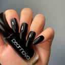 Absorb - Classic Lacquer