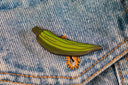 Enamel Pin: Okra