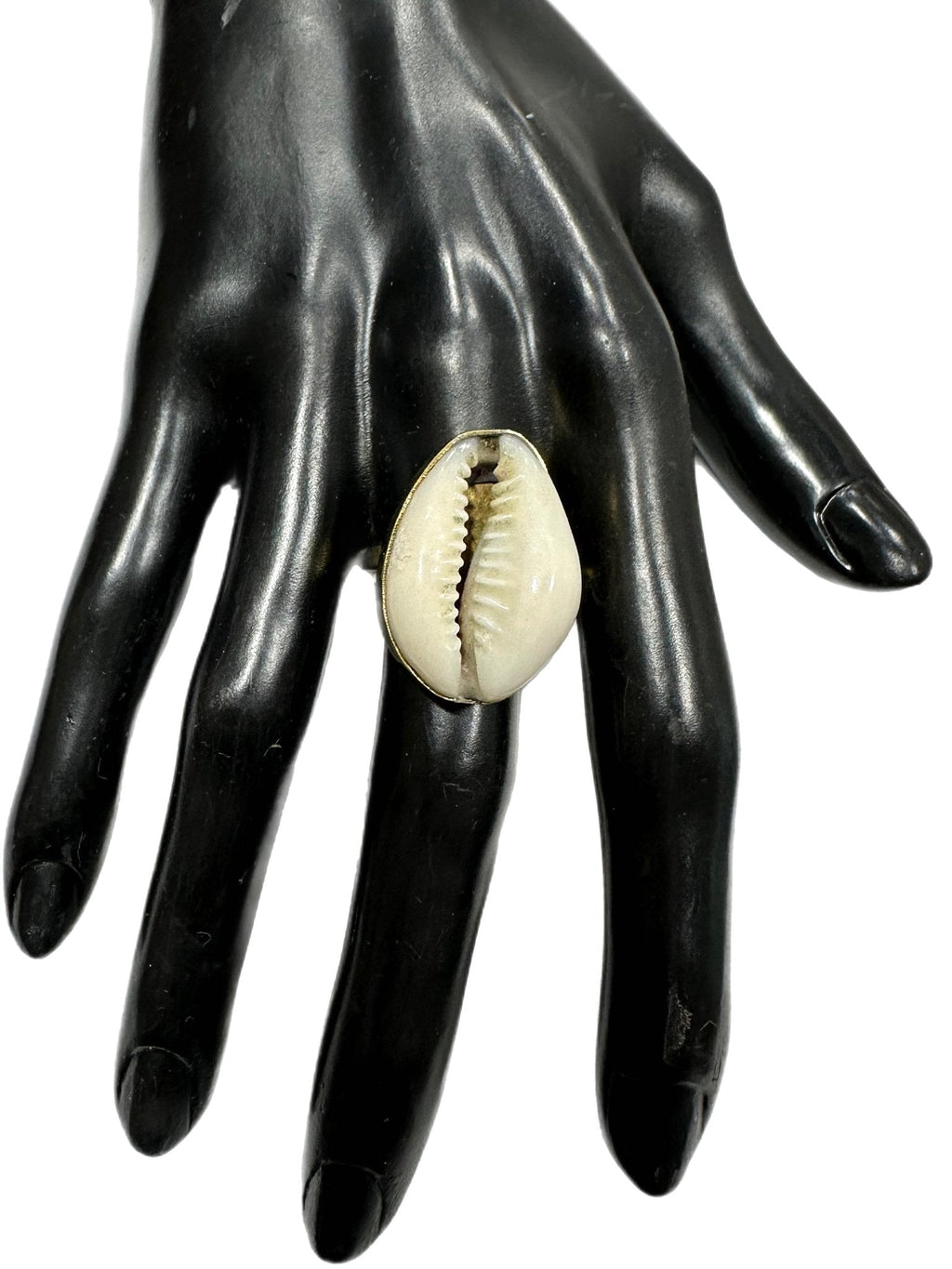 Single Cowry shell Ring