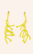 Tree Of Life Earrings